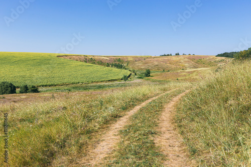 road in a field