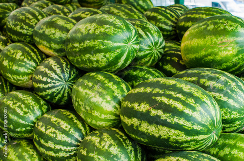 watermelons at farm 
