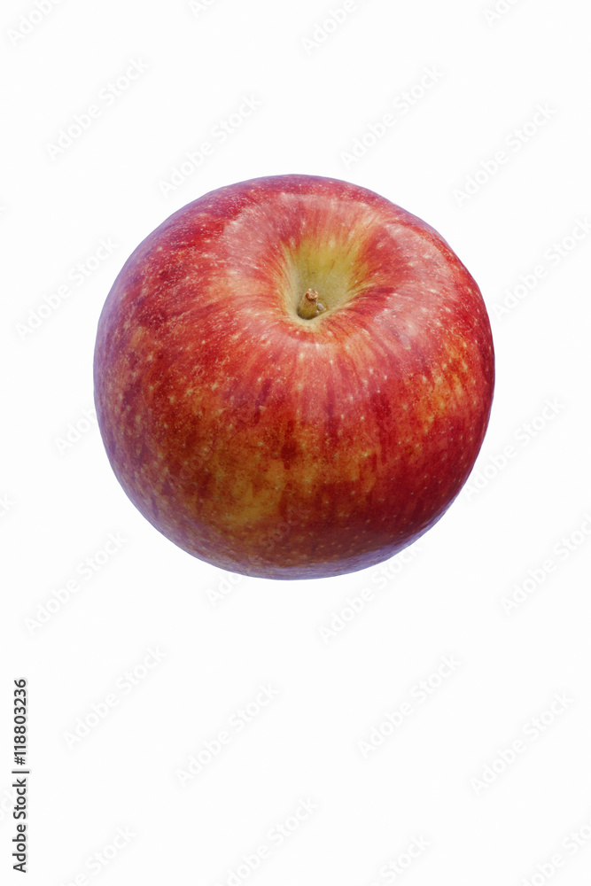 Scilate apple (Malus domestica Scilate). Hybrid between Royal Gala and Braeburn apples. Known as Envy apple also. Image of single apple isolated on white background Scilate apple (Malus domestica Scilate). Hybrid between Royal Gala and Braeburn apples. Known as Envy apple also. Image of single apple isolated on white background