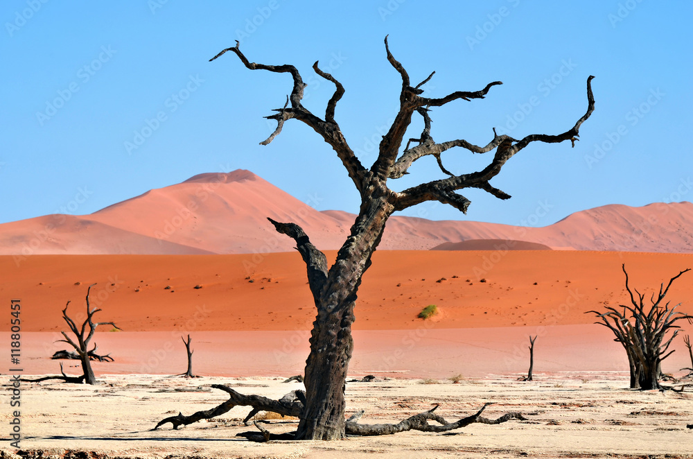 Deadvlei, Sossusvlei. Namibia