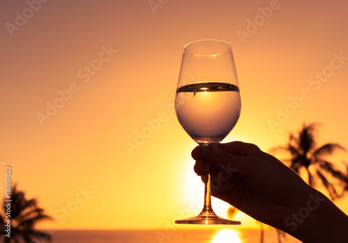 Hand holding glass of wine. 