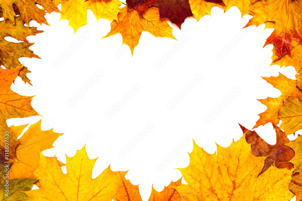 Pattern of autumn colorful leaves, yellow leaves, white background Pattern of autumn colorful leaves, yellow leaves, white background