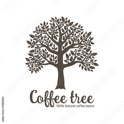 Hand drawn graphic tree with coffee beans. Vector illustration for labels, packs, logo design.