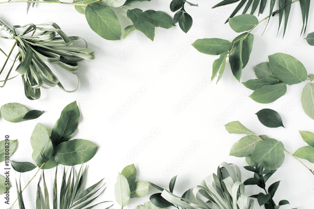 frame with flowers, branches, leaves and petals isolated on white background. flat lay, overhead view - obrazy, fototapety, plakaty 