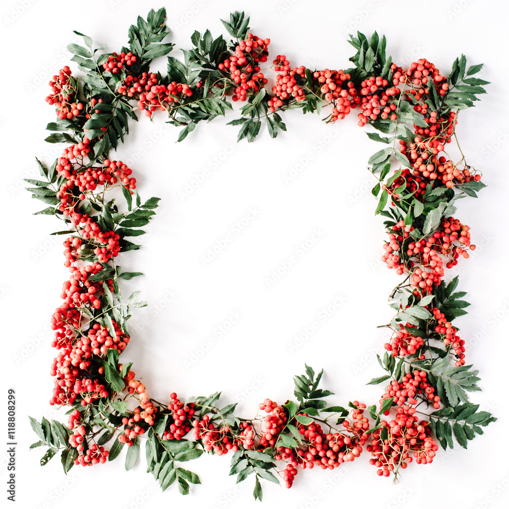 Creative arrangement frame made of rowan. frame, flat lay, top view Creative arrangement frame made of rowan. frame, flat lay, top view