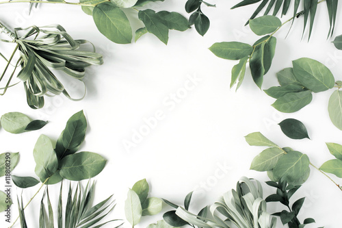 frame with flowers, branches, leaves and petals isolated on white background. flat lay, overhead view