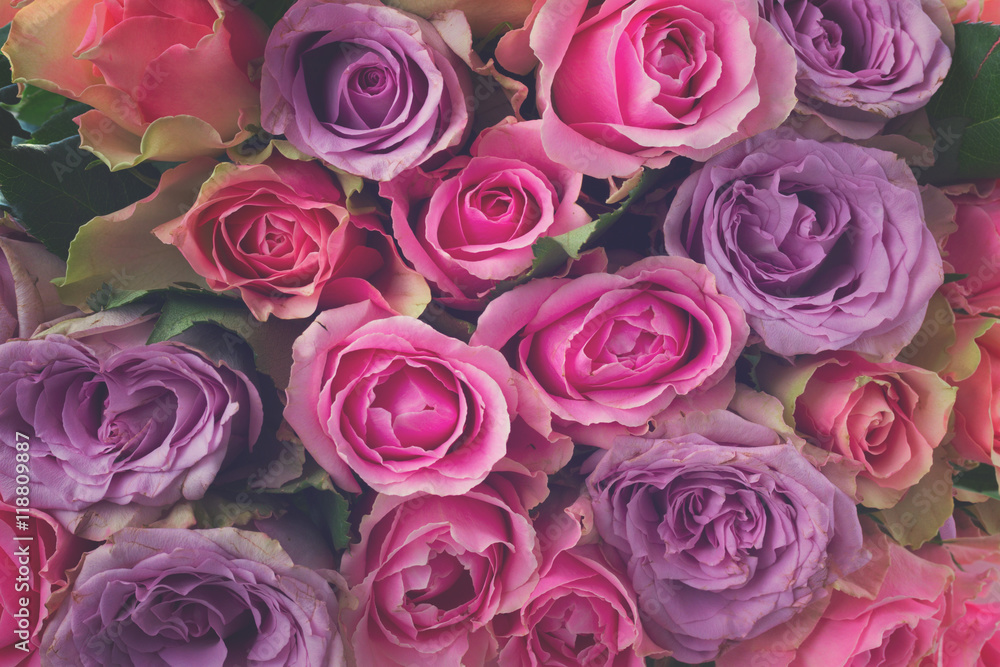 Obraz premium bouquet of fresh roses