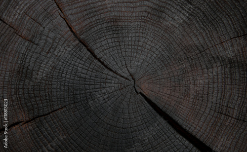 felling trees with cracks