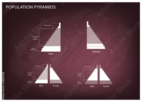 Detail of Population Pyramids Graphs Depend on Age and Sex