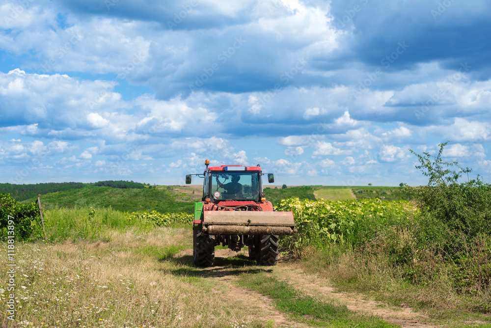 Fototapeta premium Tractor in the field
