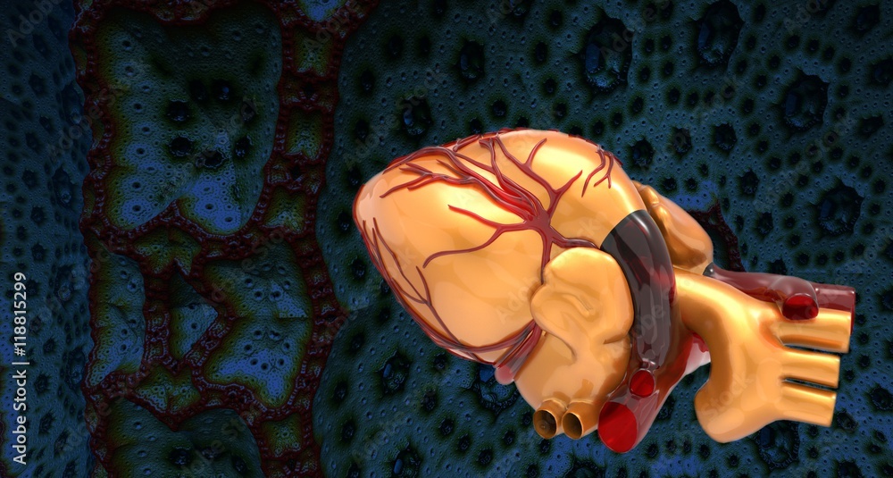 Model of artificial human heart 3d rendering