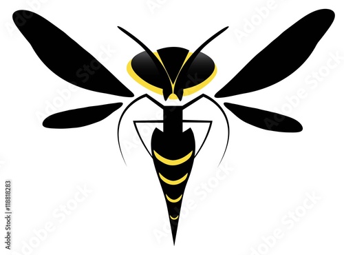 Wasp Bee Vector