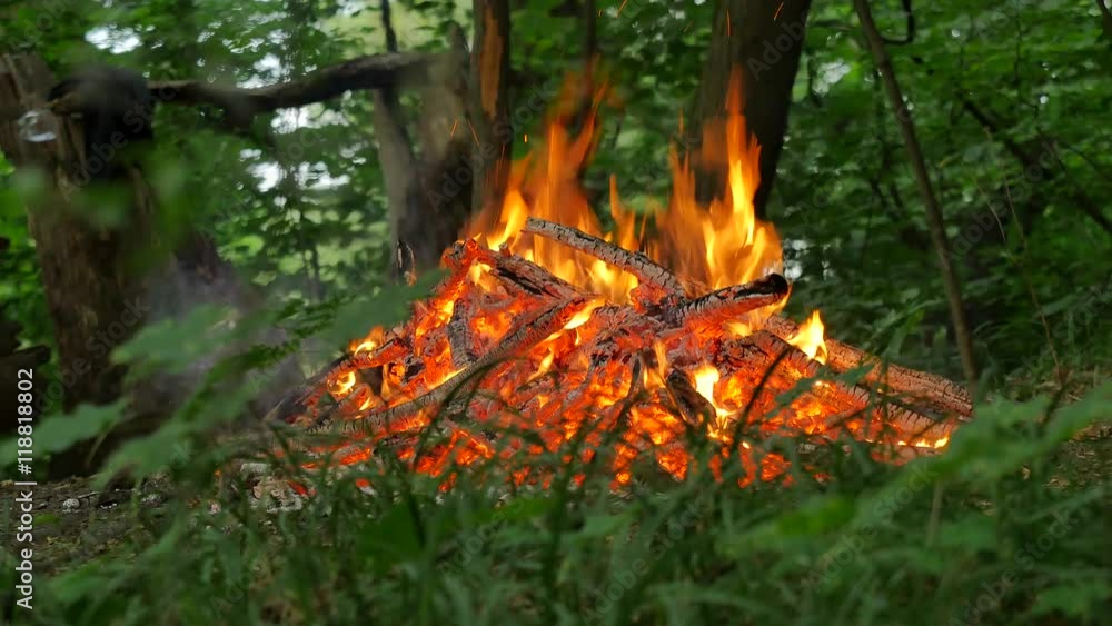 People Walk Around Fire and White Coals Bonfire Burning Among Green Grass Preparing to Rite of Walking on Coals Pagan Festival of Ivan Kupala Summer Dusk People Walk Around Fire and White Coals Bonfire Burning Among Green Grass Preparing to Rite of Walking on Coals Pagan Festival of Ivan Kupala Summer Dusk