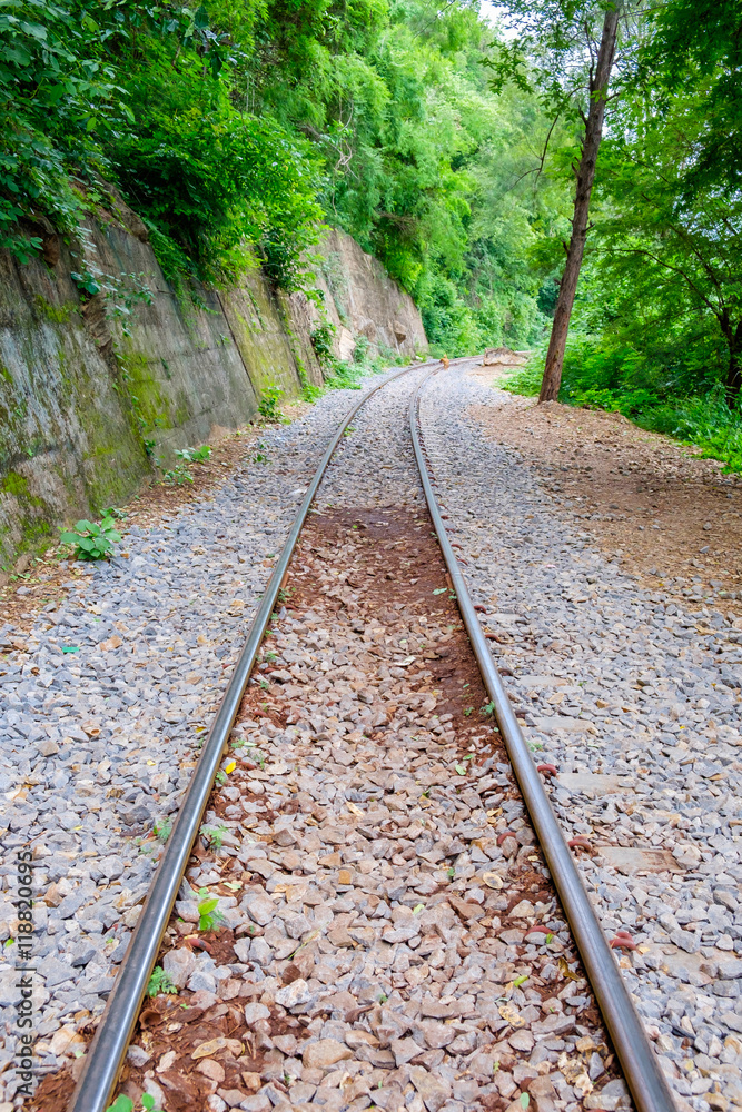 The Death Railway along the cliff and tree The Death Railway along the cliff and tree