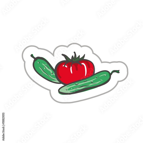 Cucumbers and tomatoes. colored illustration on a white background