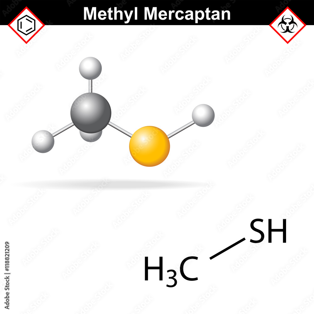 Methyl mercaptan molecule