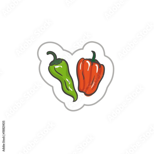 Bell pepper. colored illustration on a white background