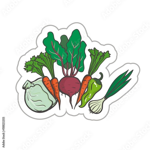 Vegetables. colored illustration on a white background