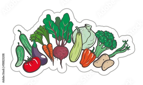 Vegetables. colored illustration on a white background