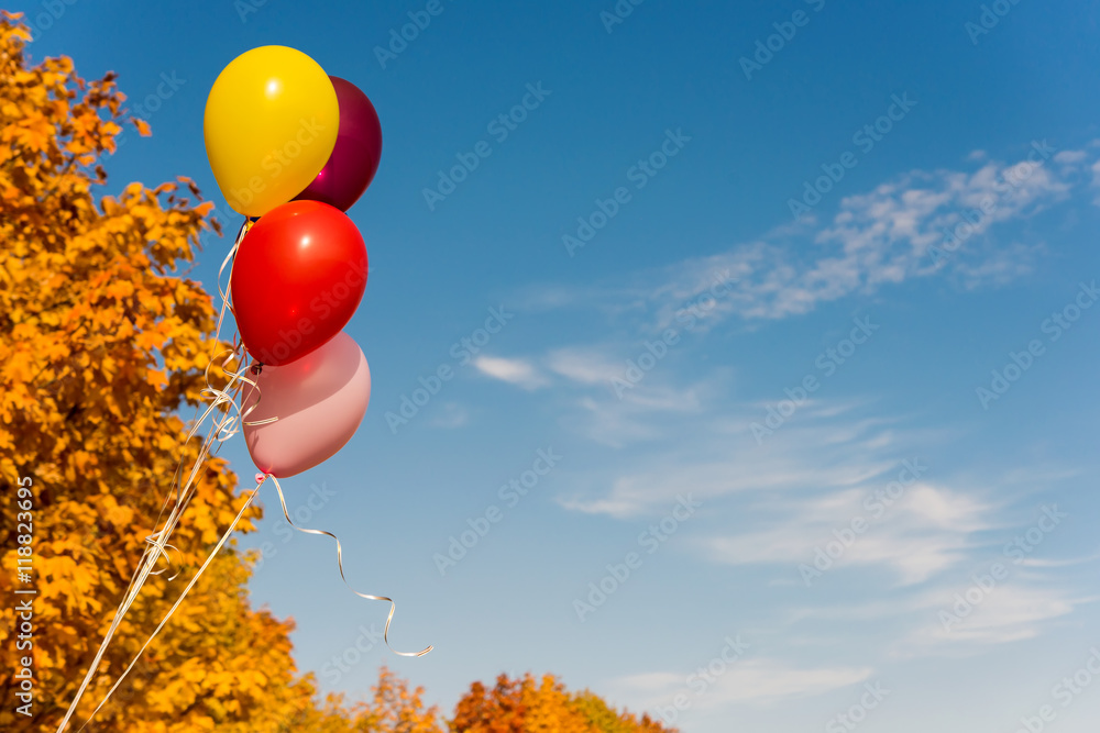 Fototapeta premium Balloons