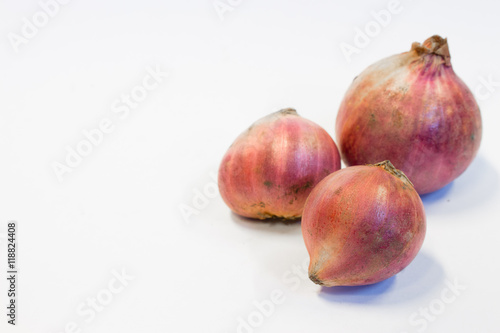 Small red onion on white background