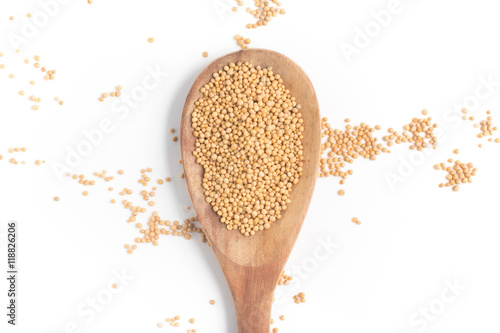 Mustard seeds into a spoon in white background