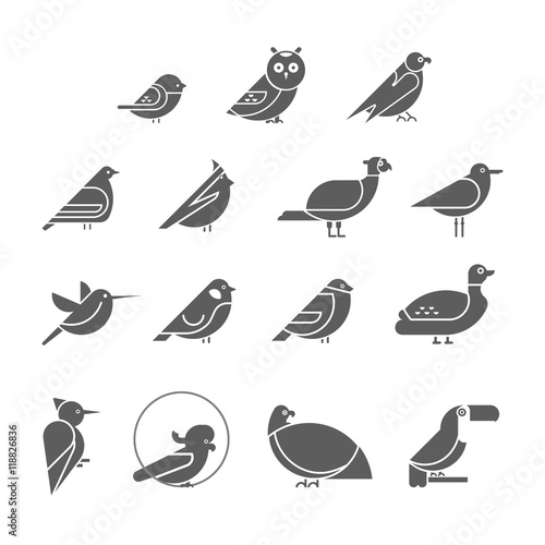 Vector bird icon set