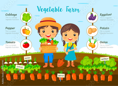 Vegetable garden farm, farmers Harvest on farm, cartoon characters vector design, info graphic..
