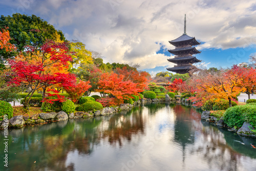 Toji Pagoda in Kyoto, Japan during autumn. photo