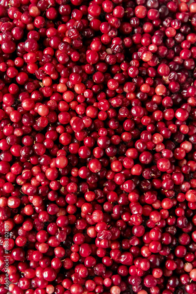Raw cranberry Raw cranberry