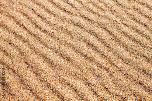 Sands on the Beach