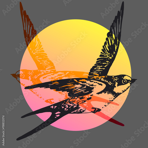Vector hand drawn swallow bird abstract illustration. Flying swift detailed sketch, beautiful animal in the wild with colorful background