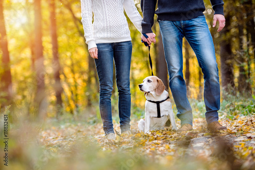 Beautiful young couple walking a dog in autumn forest