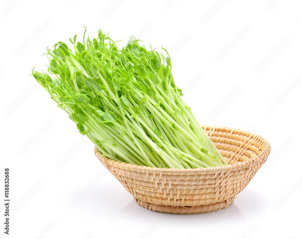 green pea sprouts in basket on white background green pea sprouts in basket on white background