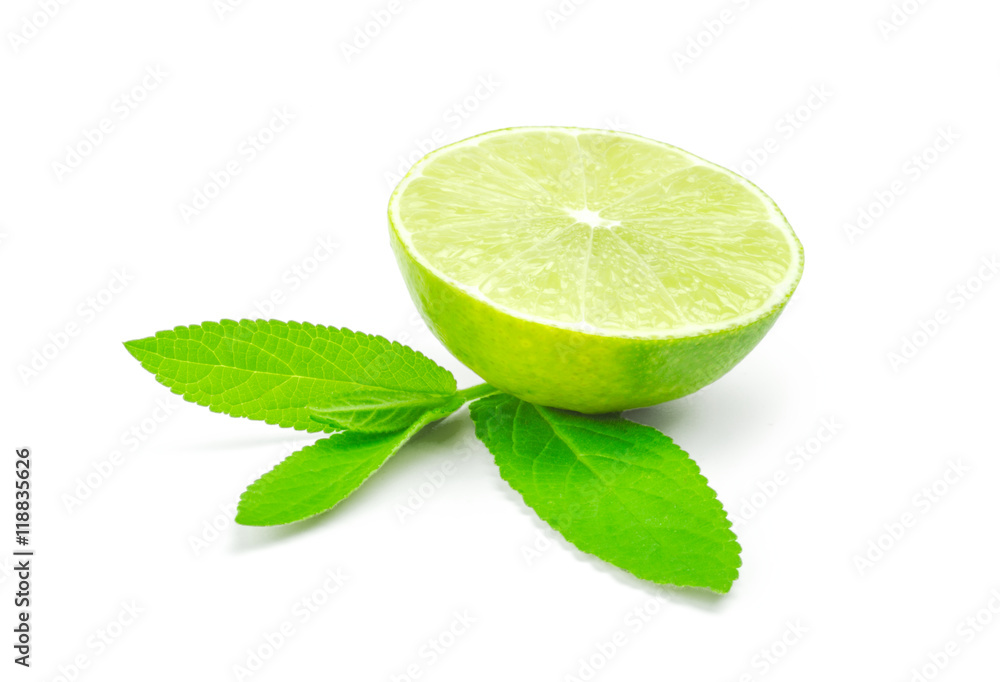 Slice of lime citrus fruit isolated on white background Slice of lime citrus fruit isolated on white background