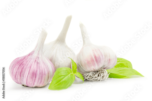 Three garlic on white background