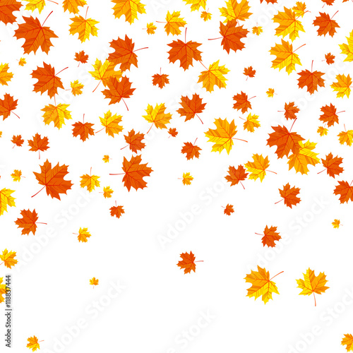 Falling autumn leaves background.