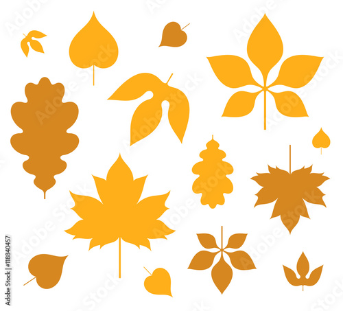 Leaf. Autumn 