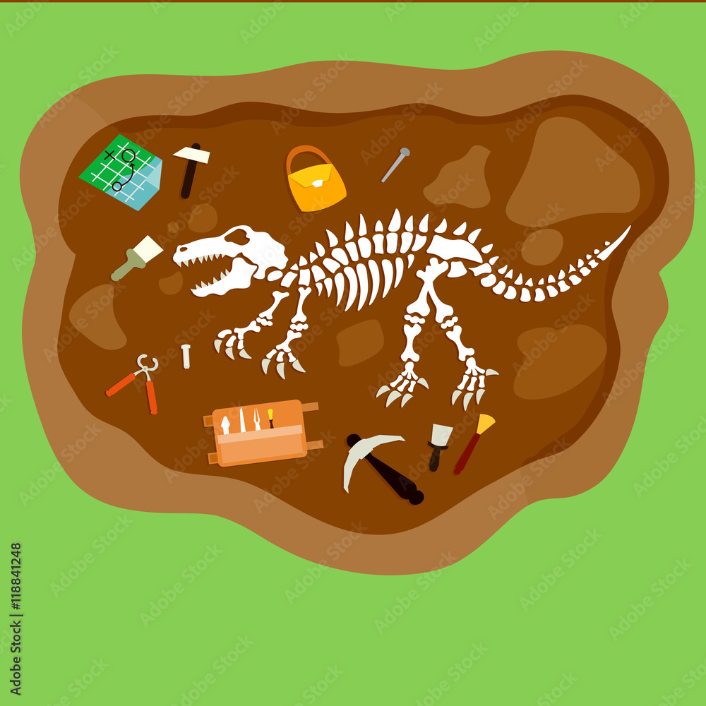 dinosaur fossils in ground clipart