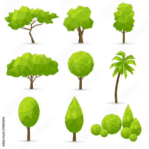 Set of   polygonal trees