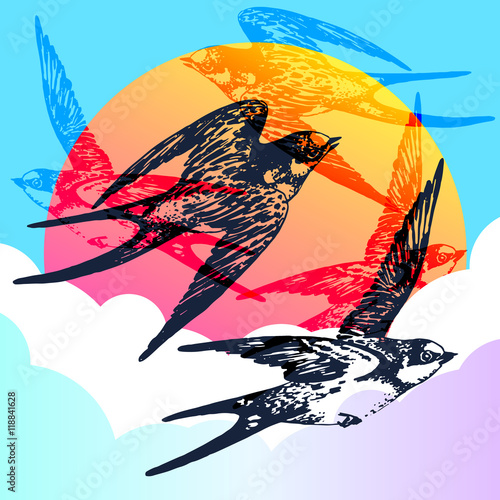 Vector hand drawn swallow bird set in the sky with clouds and sun. Flying pair of swifts in love - detailed sketch, beautiful animal in the wild with colorful background