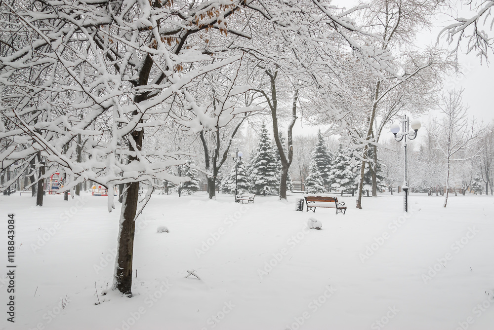 Snowy Landscape with Benches