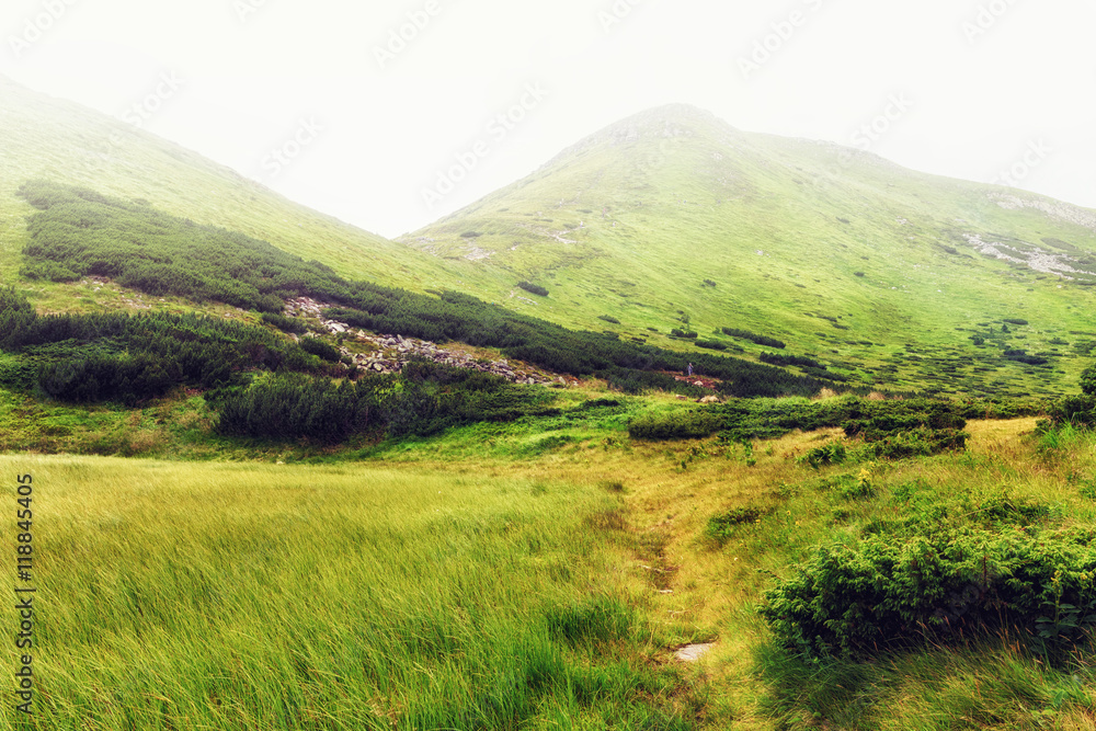 Picturesque Carpathian mountains in haze, nature landscape, Ukraine.