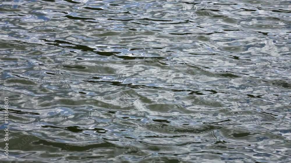Close up slow motion of ripple on gray water surface. Amazing natural background for excellent intro in hypnotic full HD clip. Liquid mirror with mind bending reflection.
Close up slow motion of ripple on gray water surface. Amazing natural background for excellent intro in hypnotic full HD clip. Liquid mirror with mind bending reflection.