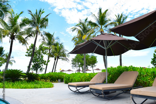 фотографія resort image back ground in nature it is sunny day
