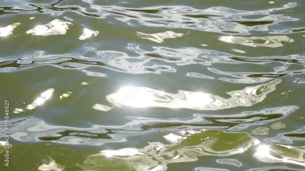 Slow motion of waves on green water surface with play of flecks of sunshine. Amazing natural background for excellent intro in hypnotic full HD clip. Liquid mirror with mind bending reflection.
Slow motion of waves on green water surface with play of flecks of sunshine. Amazing natural background for excellent intro in hypnotic full HD clip. Liquid mirror with mind bending reflection.