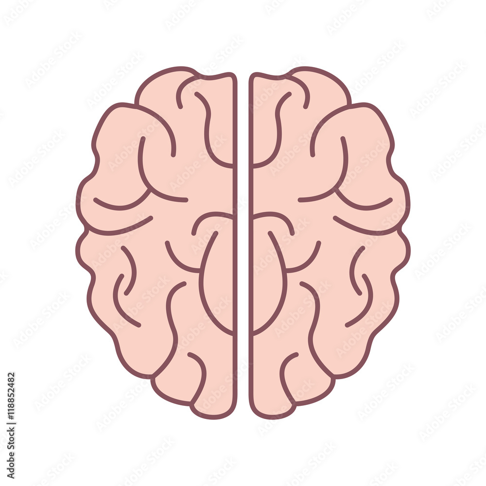 Fototapeta premium flat design human head icon vector illustration