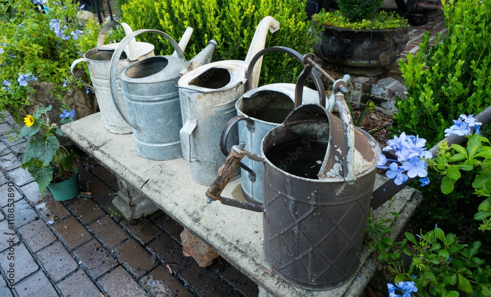 Obraz premium watering can