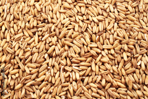 Whole Oats Close Up