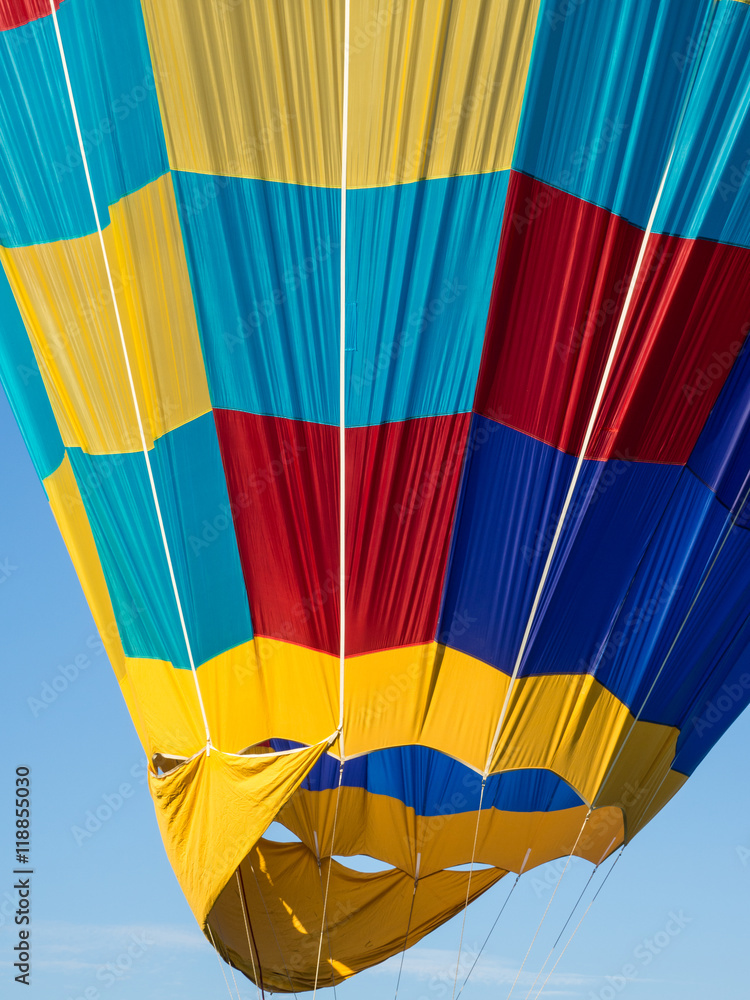 Obraz premium Bright Colored Balloon